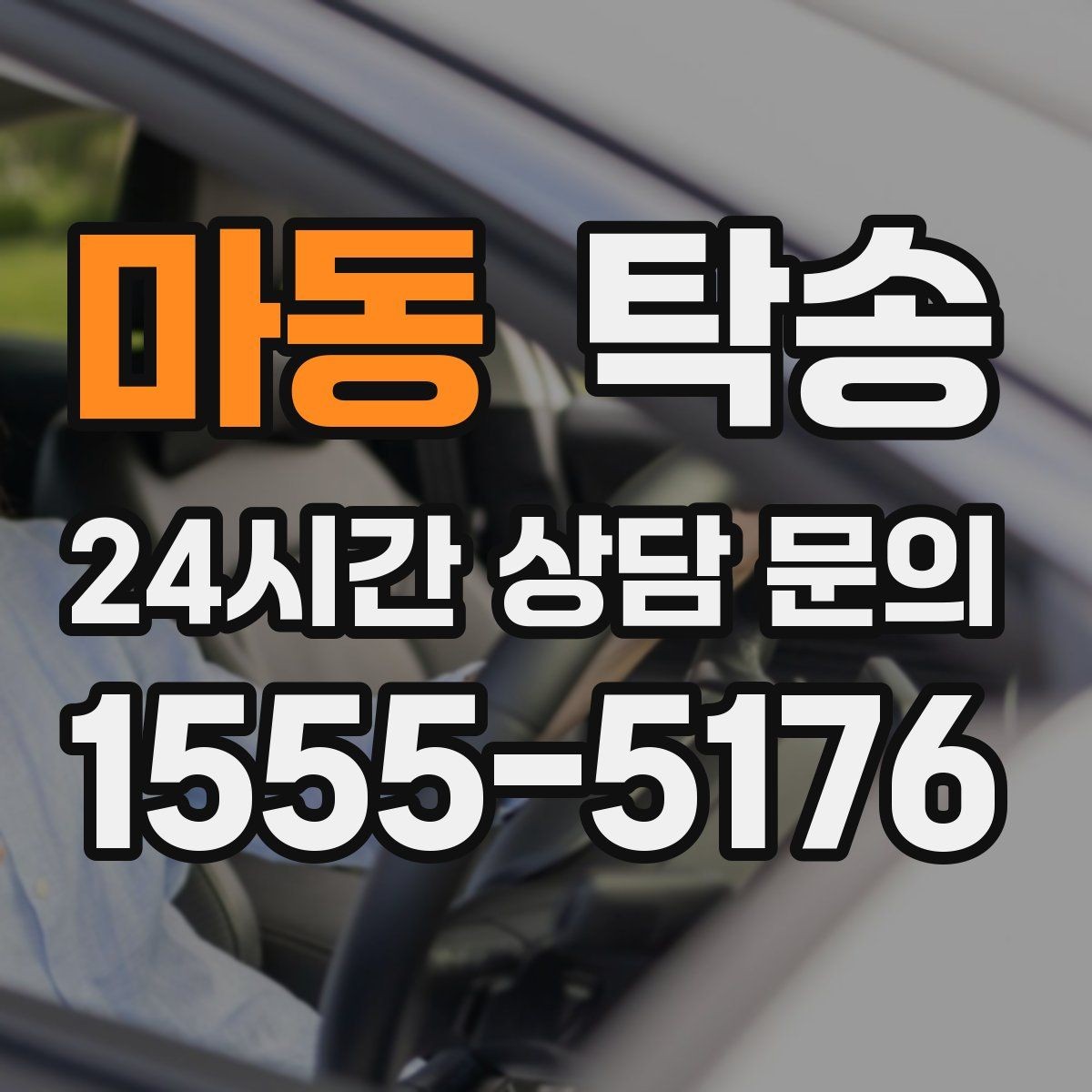 마동 탁송 반려동물 동반 차량도 규정 내 진행