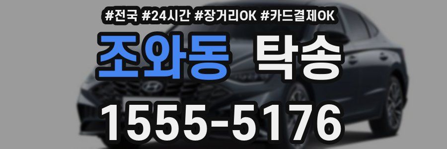 조와동 탁송