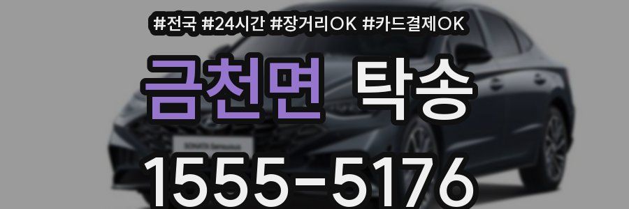 금천면 탁송