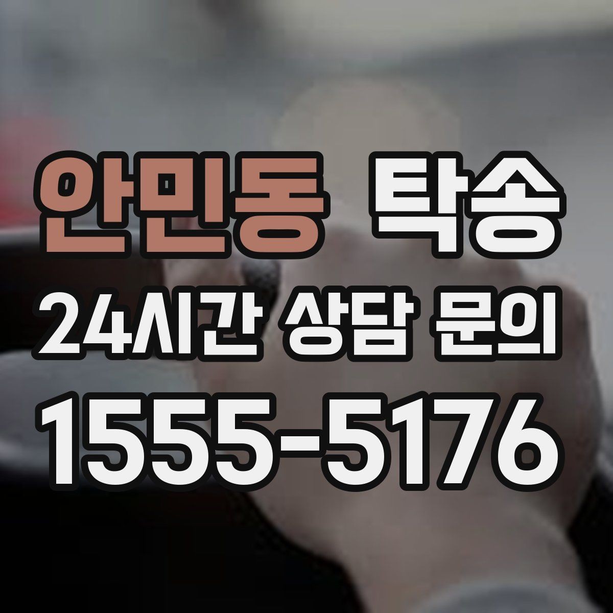 안민동 탁송 장거리 구간에도 일정한 운행 품질