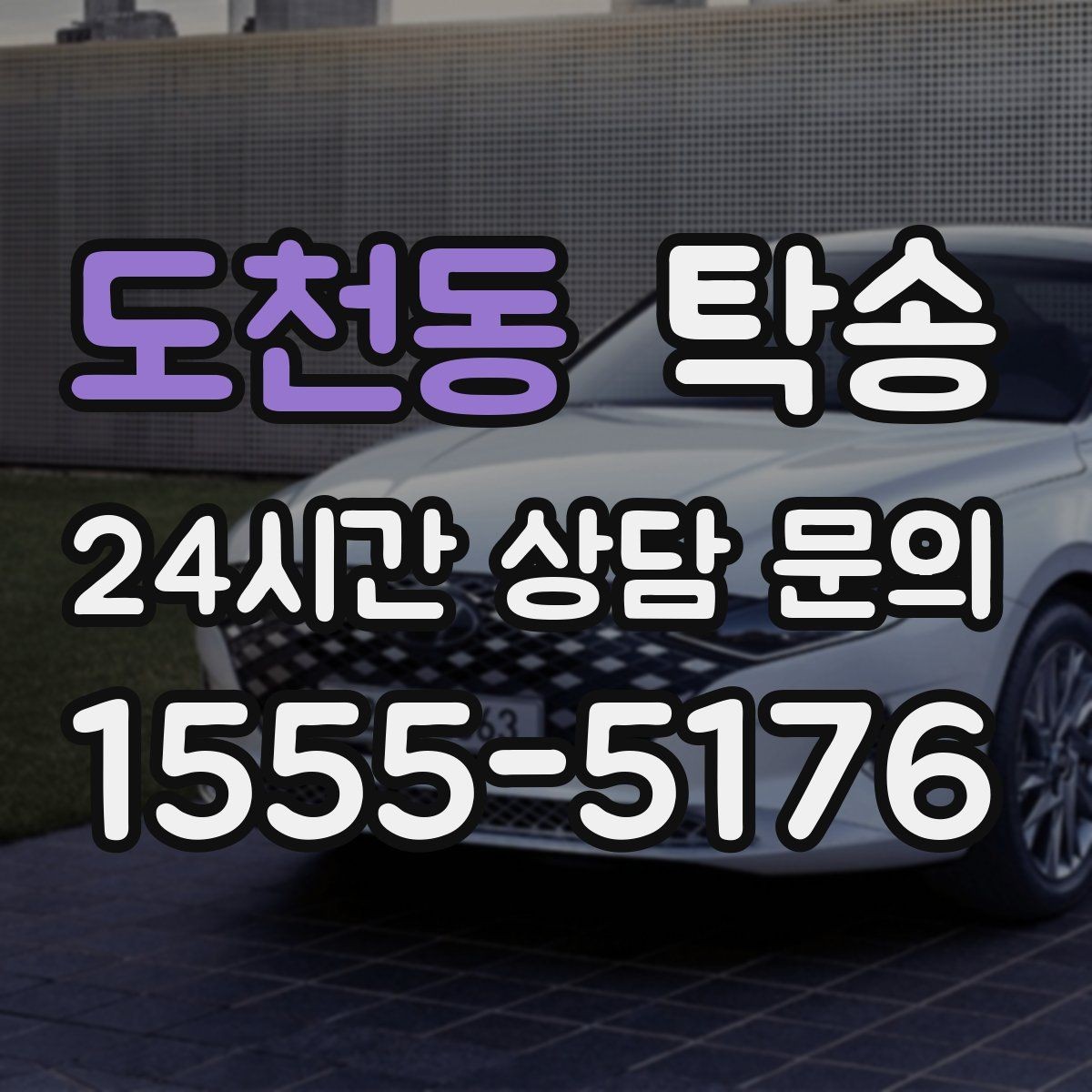 도천동 탁송 반려동물 동반 차량도 규정 내 진행