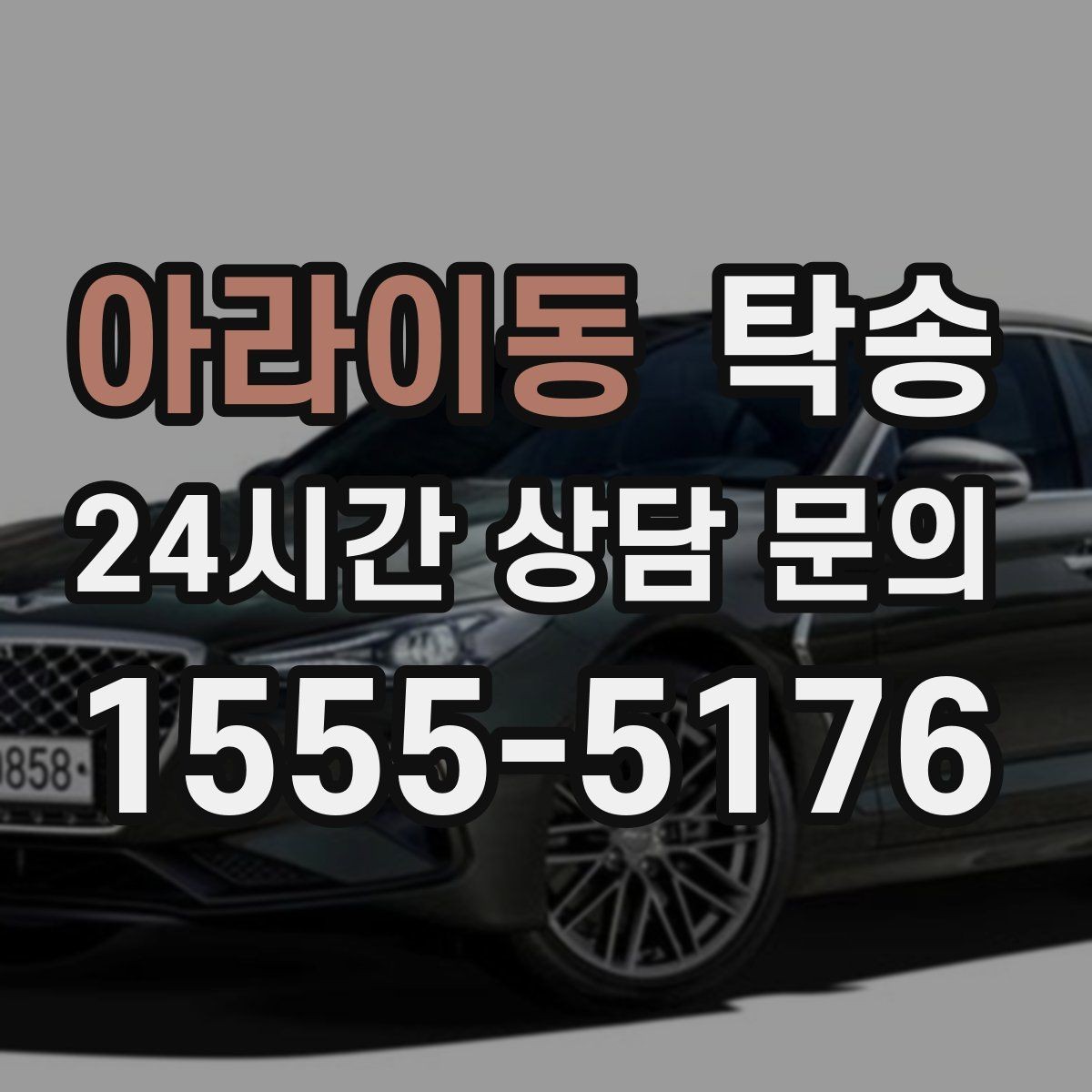 아라이동 탁송 반려동물 동반 차량도 규정 내 진행