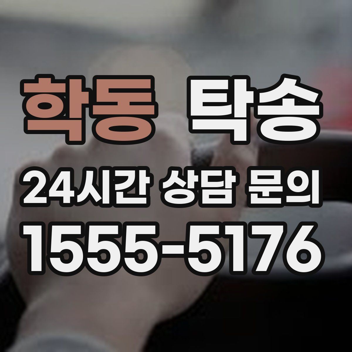 학동 탁송 전시 세팅 시간을 고려한 여유 도착