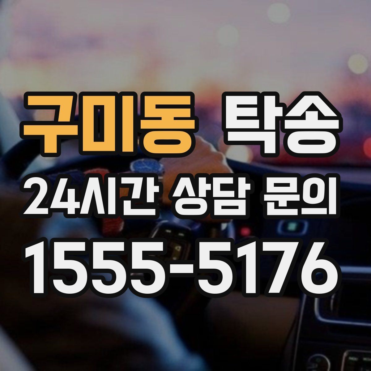 구미동 탁송 반려동물 동반 차량도 규정 내 진행