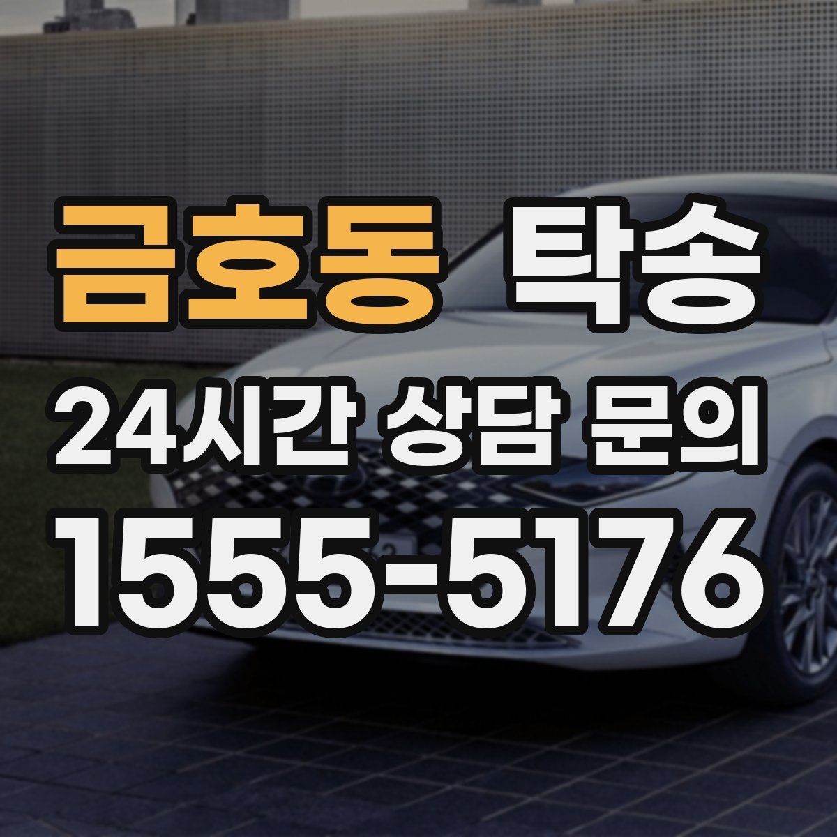금호동 탁송 반려동물 동반 차량 규정 내 안전 진행