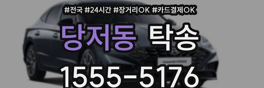 당저동 탁송
