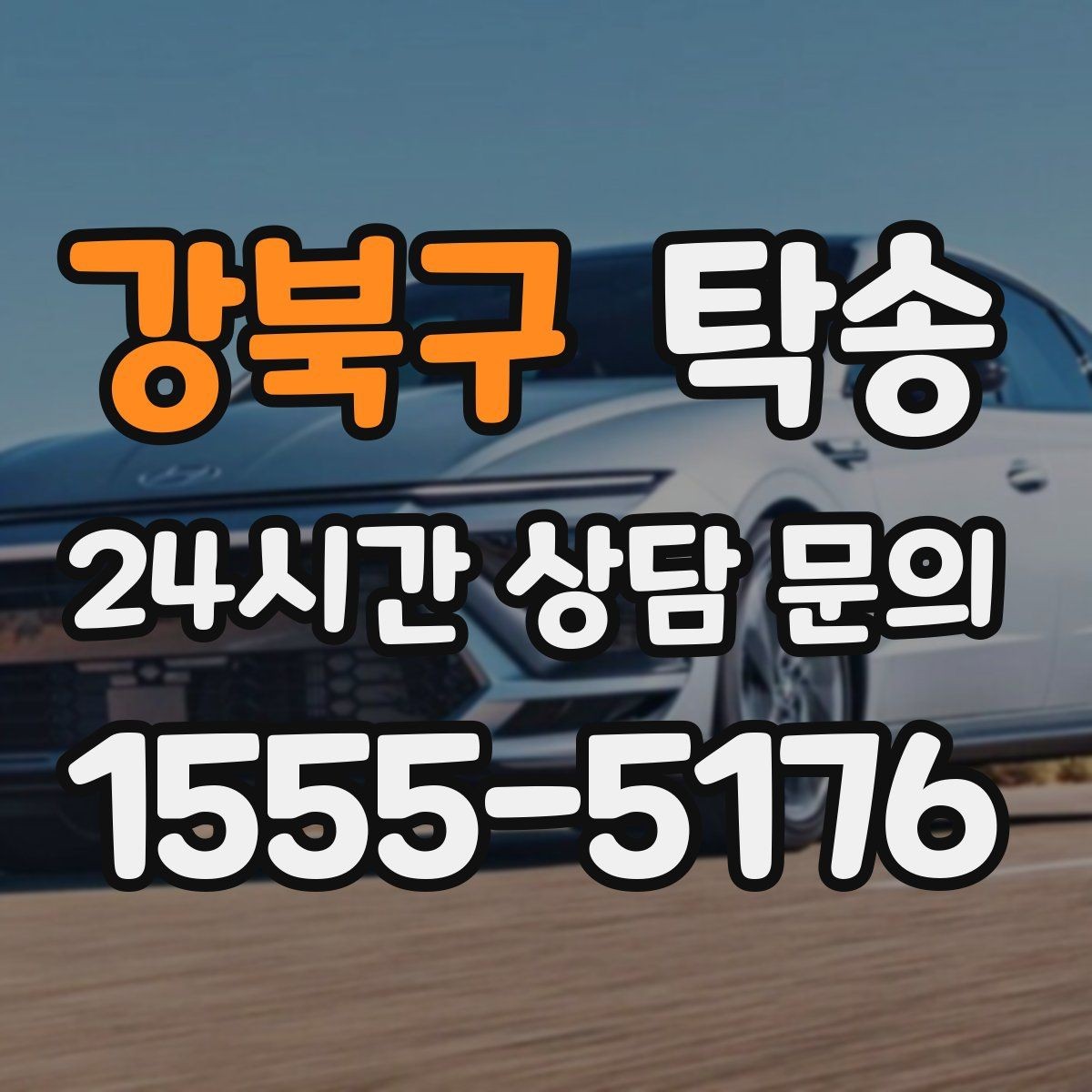강북구 탁송 반려동물 동반 차량 사전 준비로 안전