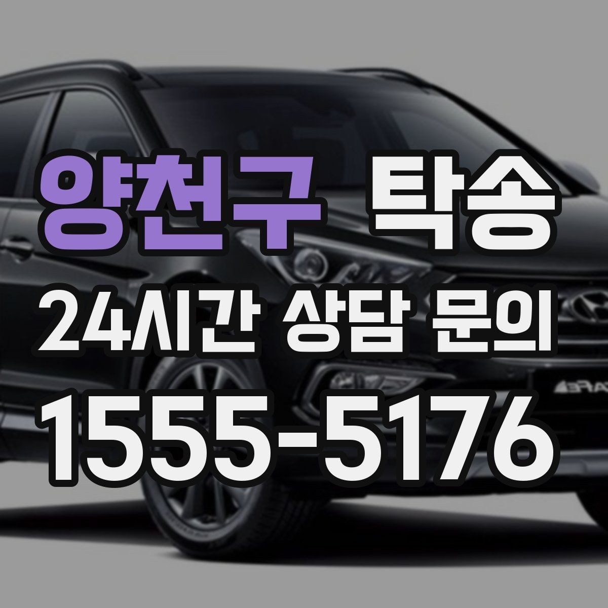 양천구 탁송 반려동물 동반 차량 사전 준비로 안전