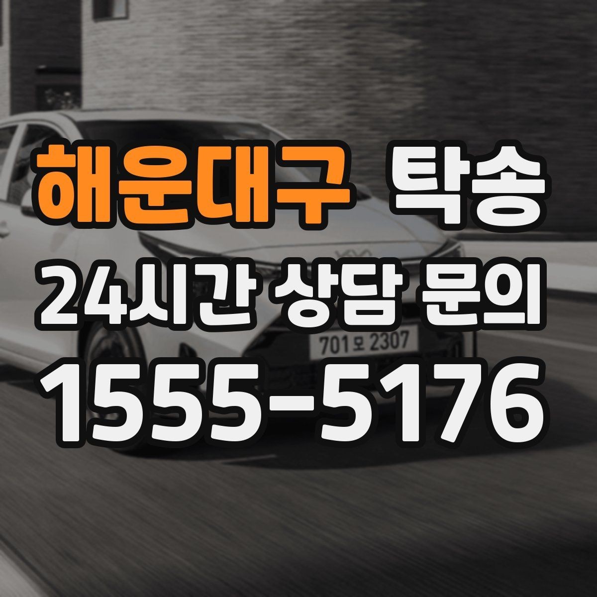 해운대구 탁송 반려동물 동반 차량도 규정 내 진행