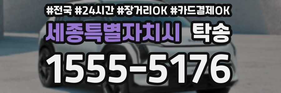 세종특별자치시 탁송