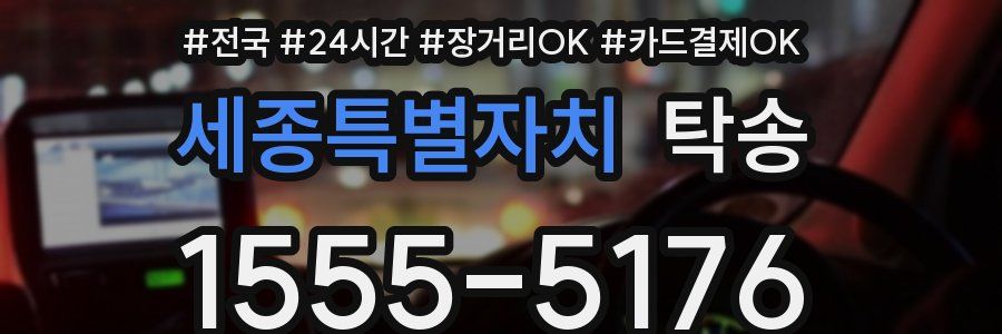 세종특별자치 탁송