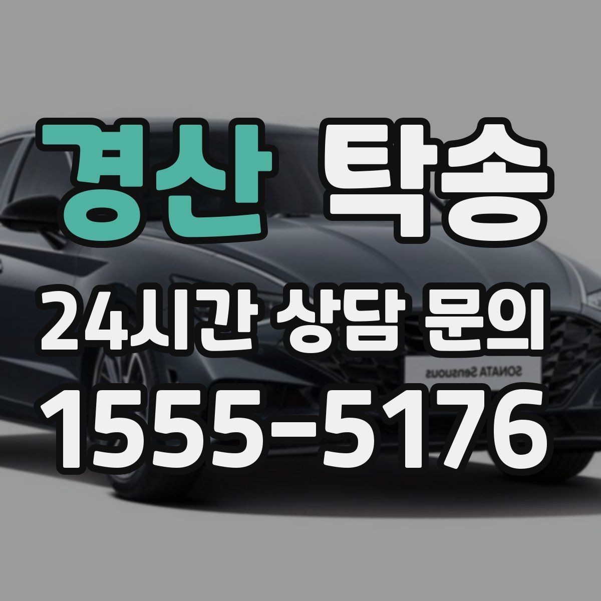 경산 탁송 반려동물 동반 차량도 규정 내 진행