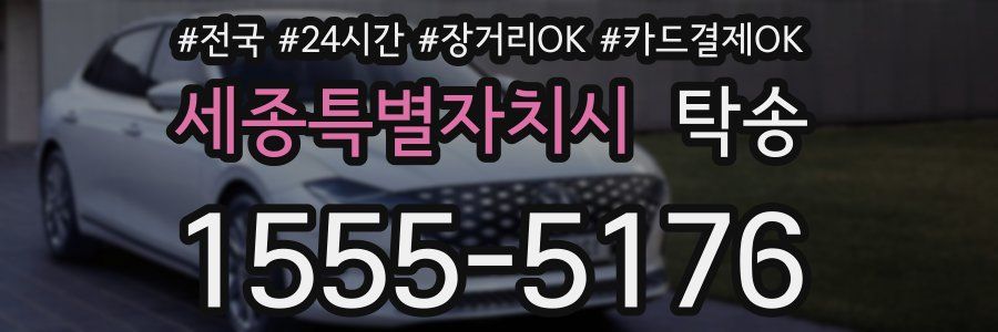세종특별자치시 탁송