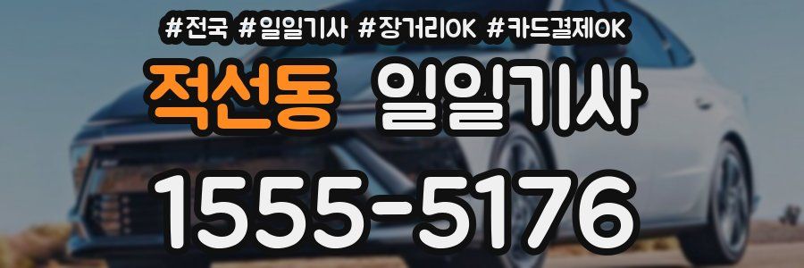 적선동 일일기사