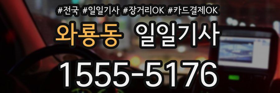 와룡동 일일기사