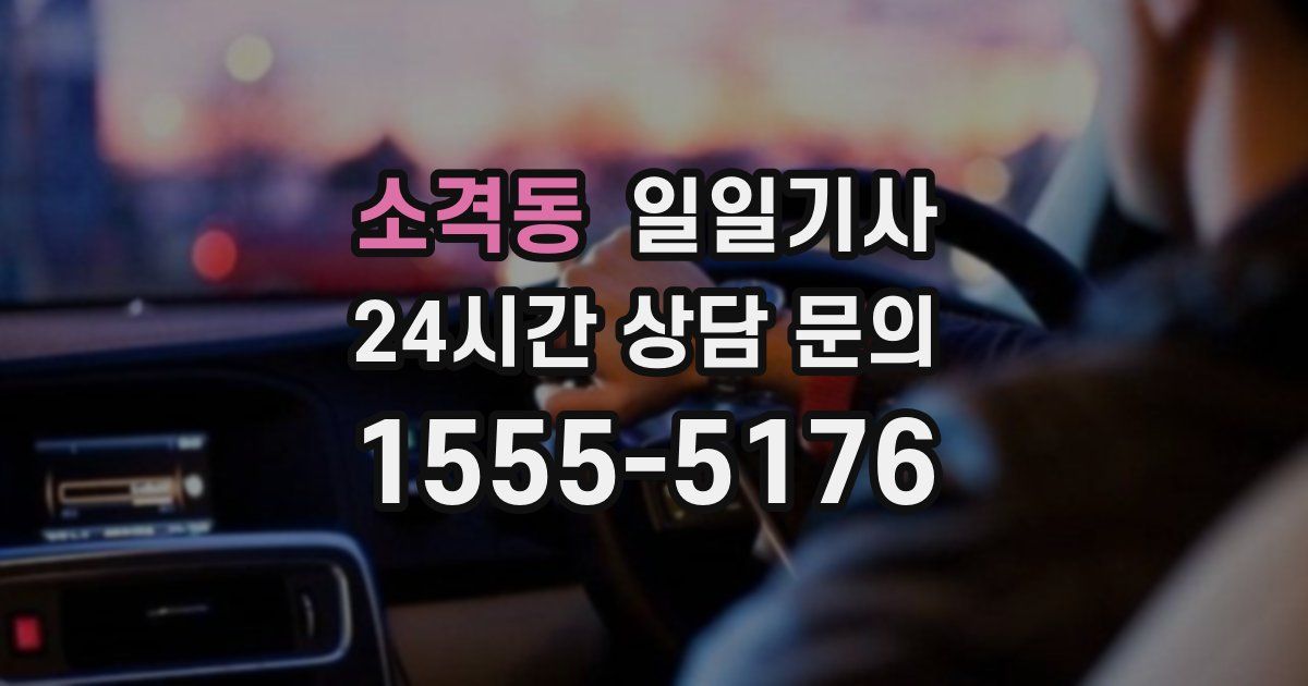 일일대리기사