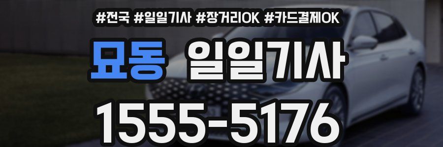 묘동 일일기사