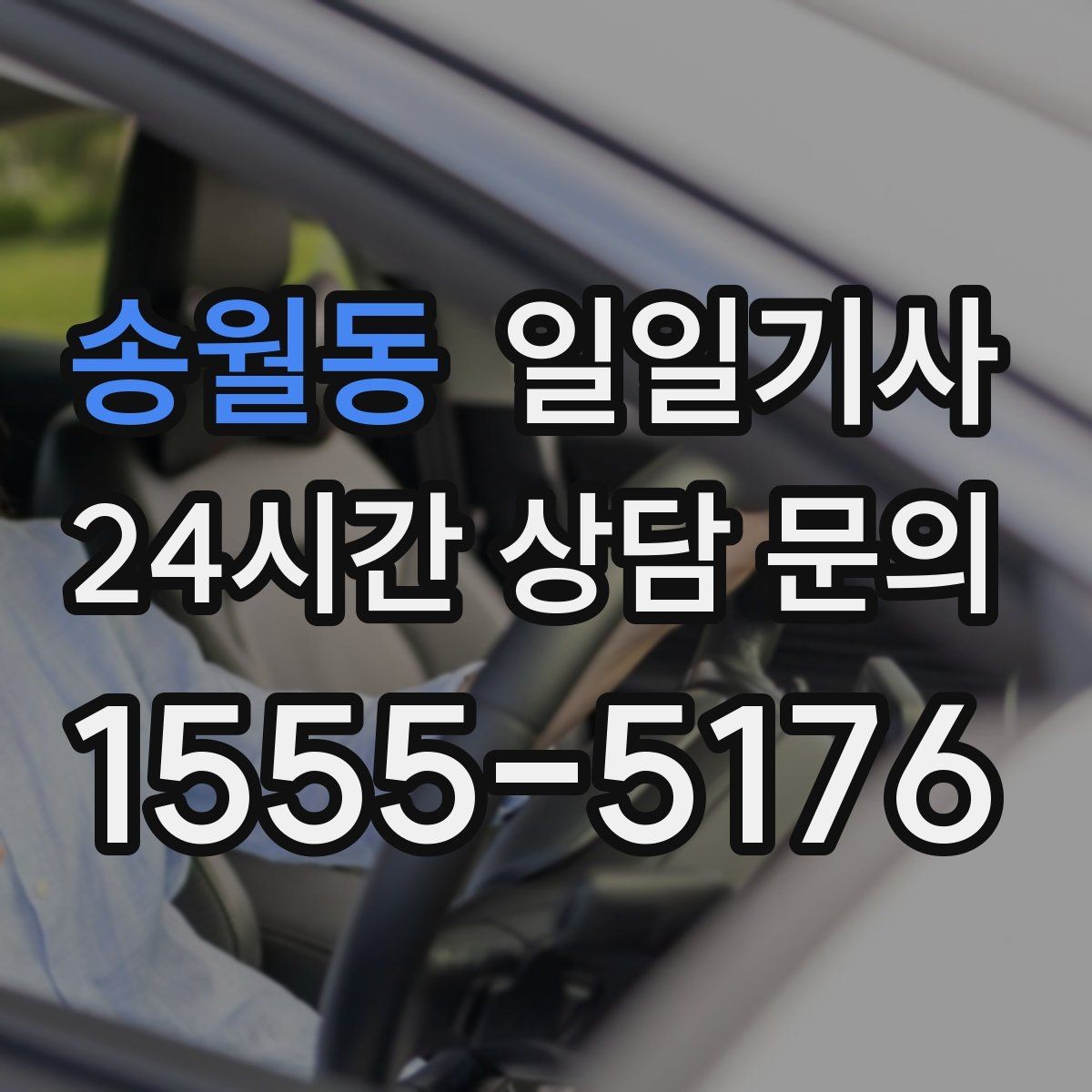 송월동 일일기사 쾌적한 실내로 장거리도 편해요