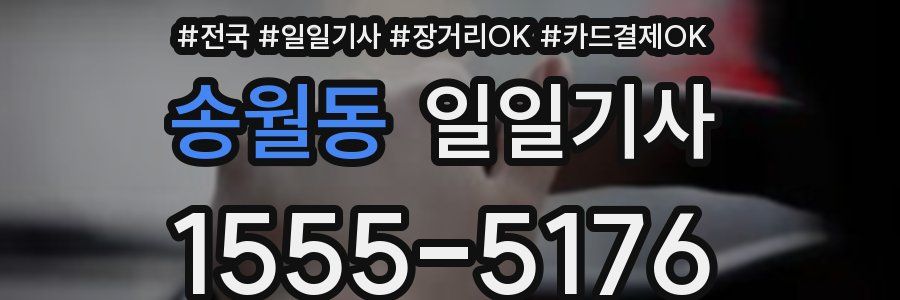 송월동 일일기사