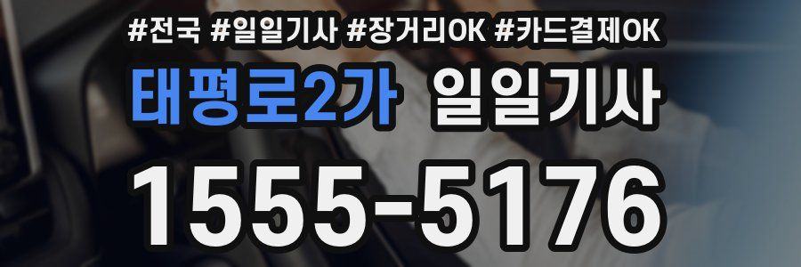 태평로2가 일일기사