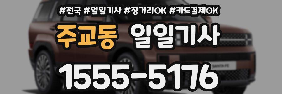 주교동 일일기사