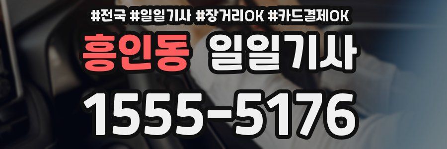 흥인동 일일기사