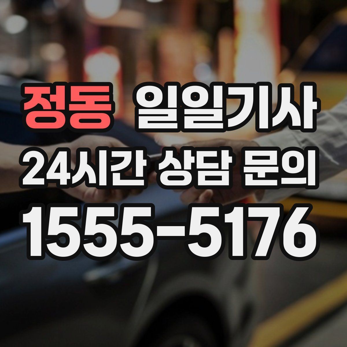정동 일일기사 반일 동행으로 여유를 더하는 날