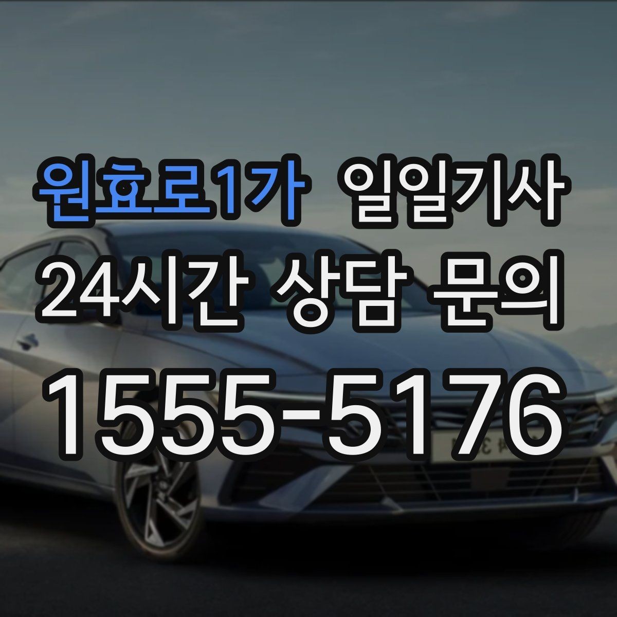 원효로1가 일일기사 믿고 맡기는 하루 동행