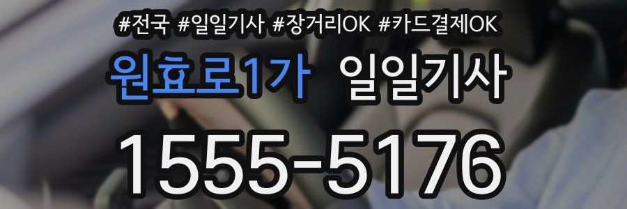 원효로1가 일일기사