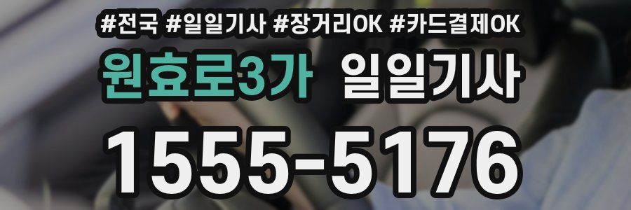 원효로3가 일일기사