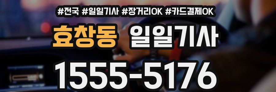 효창동 일일기사