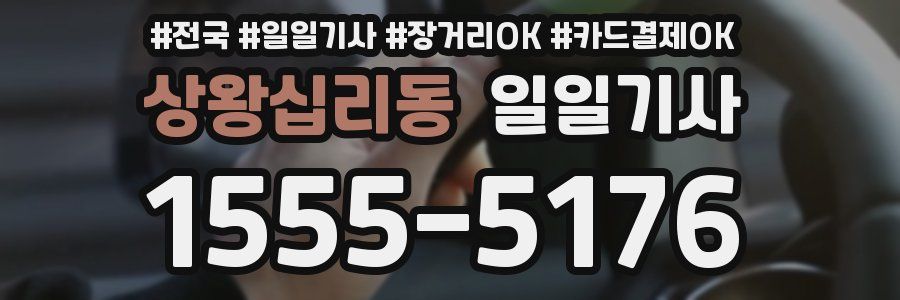 상왕십리동 일일기사