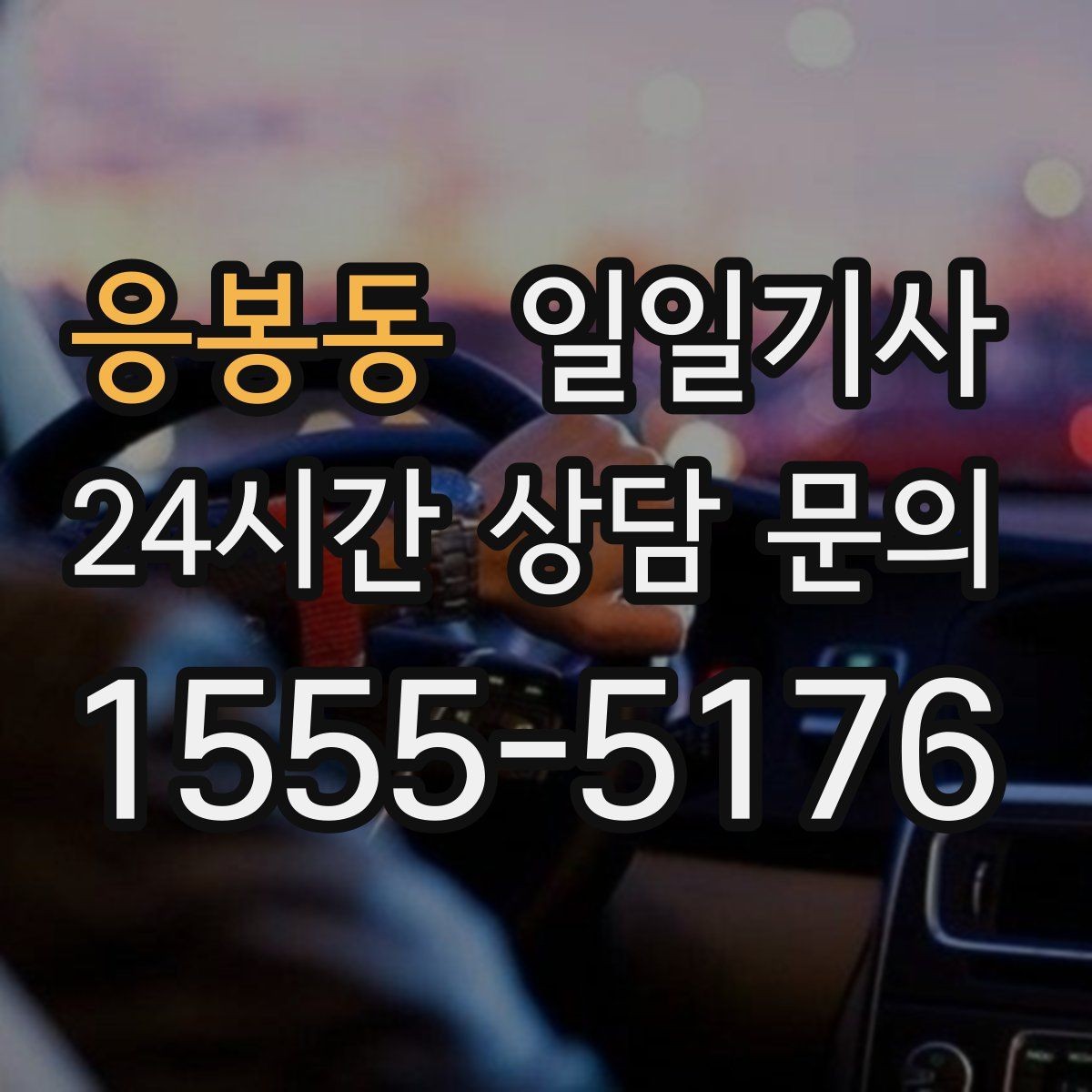 응봉동 일일기사 영업 라운드 효율 극대화
