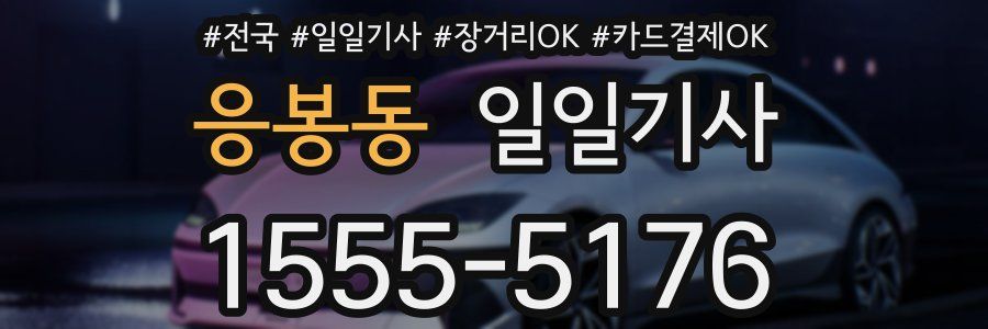 응봉동 일일기사