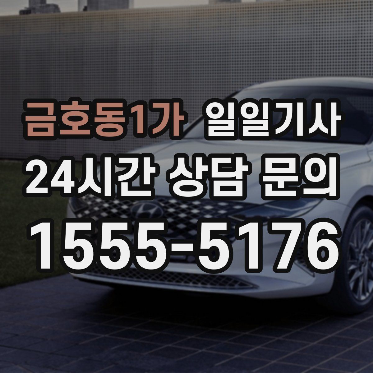 금호동1가 일일기사 심야와 주말 상시 배차