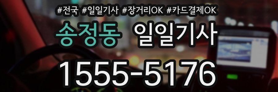 송정동 일일기사