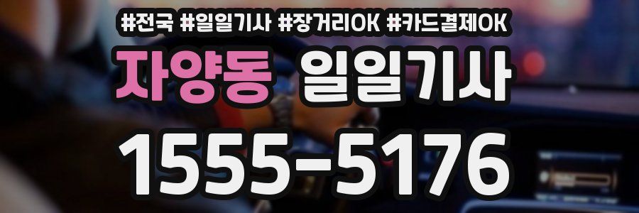 자양동 일일기사