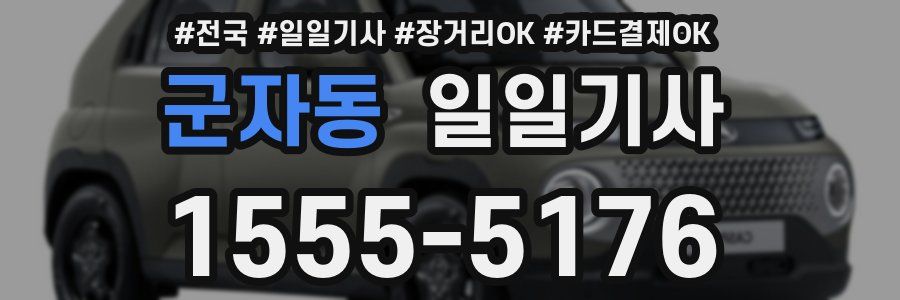 군자동 일일기사