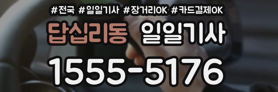 답십리동 일일기사