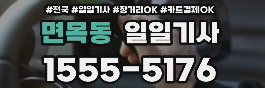 면목동 일일기사