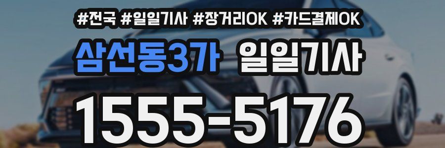 삼선동3가 일일기사