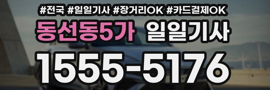 동선동5가 일일기사