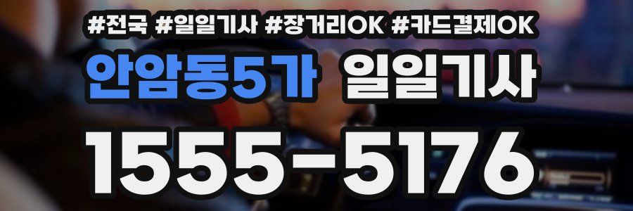 안암동5가 일일기사