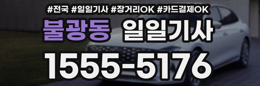 불광동 일일기사
