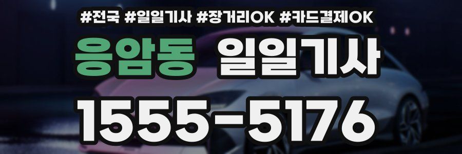 응암동 일일기사