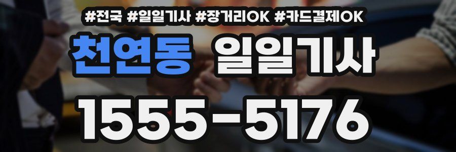 천연동 일일기사