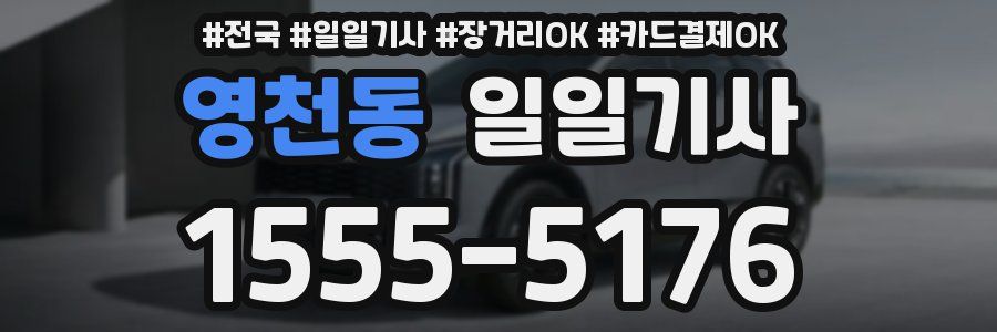 영천동 일일기사
