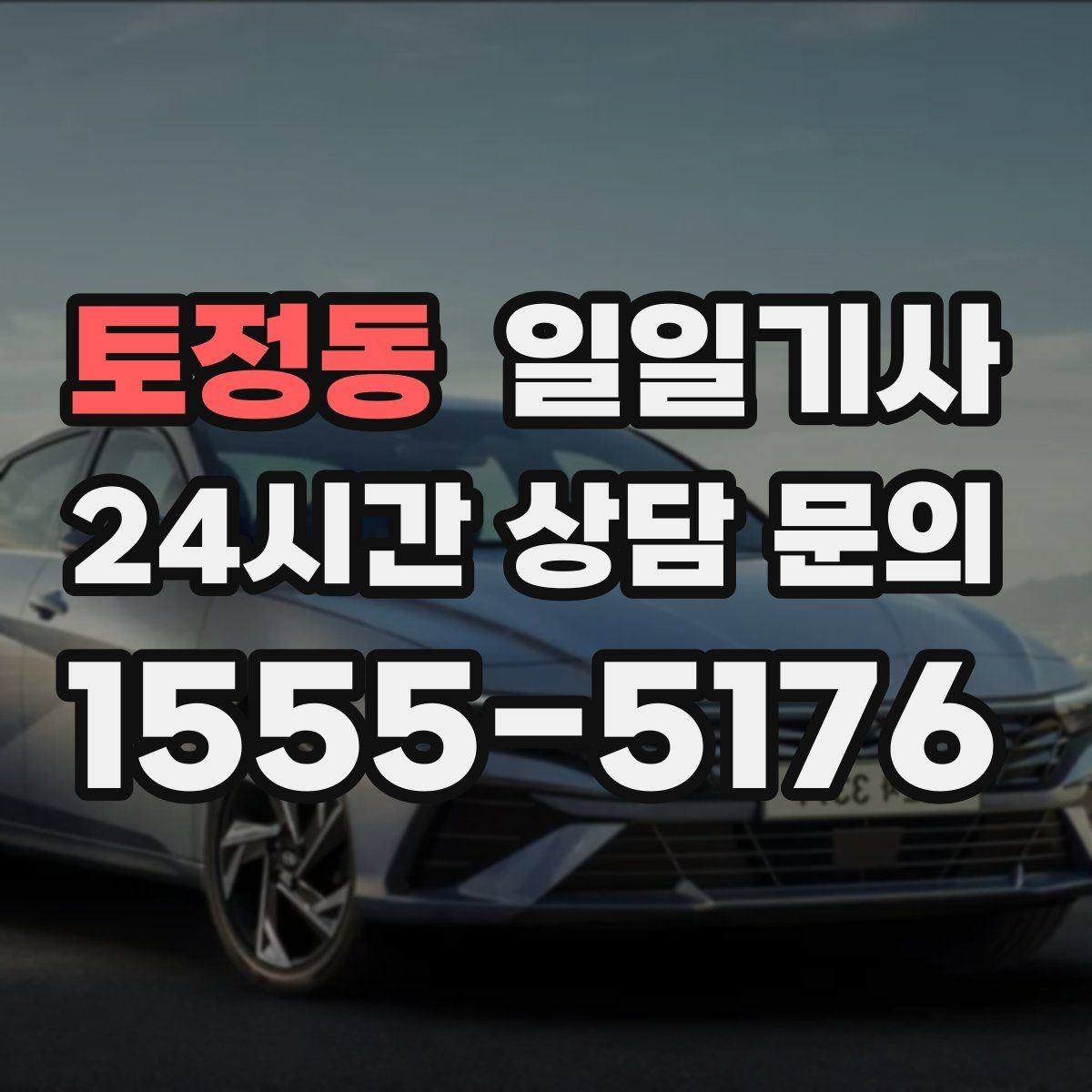 토정동 일일기사 외지 복귀까지 차분히 이어지는 길