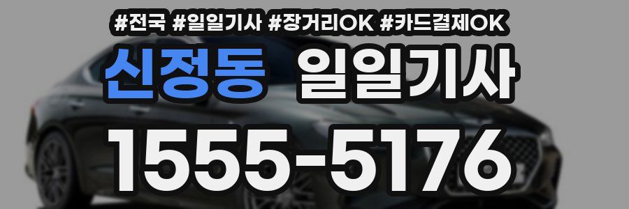 신정동 일일기사