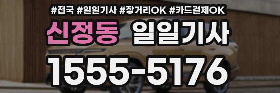 신정동 일일기사